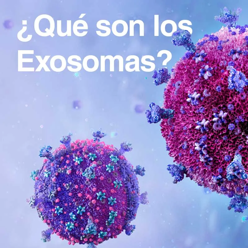 ¿Qué son los Exosomas?